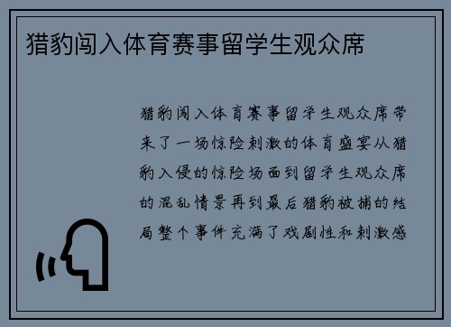猎豹闯入体育赛事留学生观众席